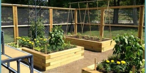 Kako napraviti baštenski krevet od improvizovanih sredstava